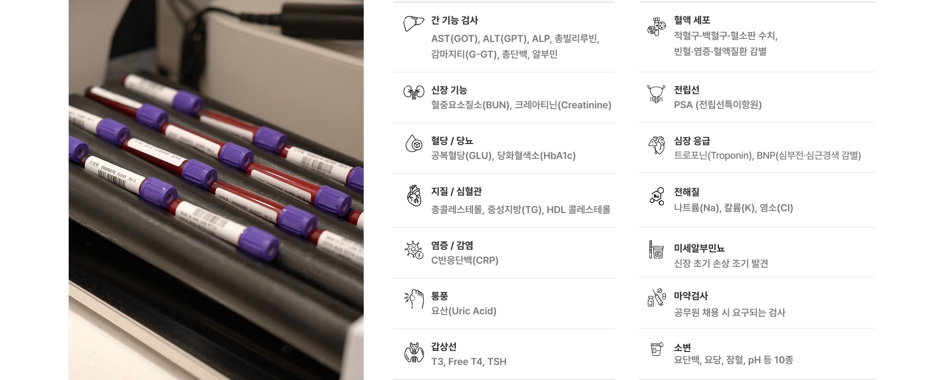 간 기능 검사 신장 기능 혈당/당뇨 지질/심혈관 염증/감염 통풍 갑상선 혈액 세포 전립선 심장 응급 전해질 미세알부민뇨 마약검사 소변